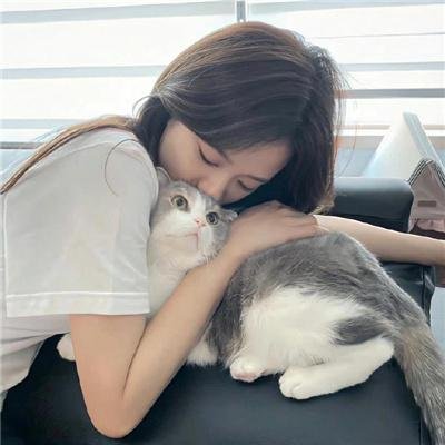 猫咪心动奇迹